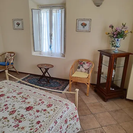 Cardellini 1 * ペーシャ