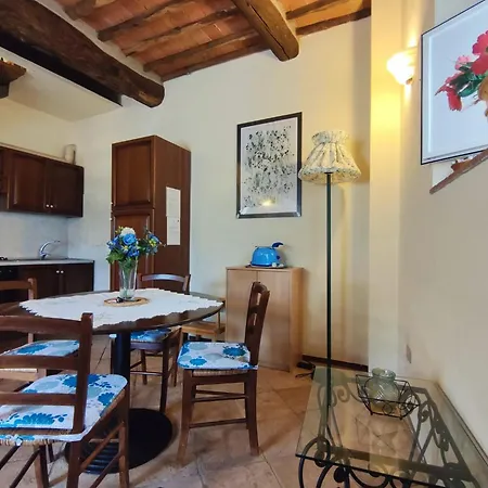 Cardellini 1 * ペーシャ