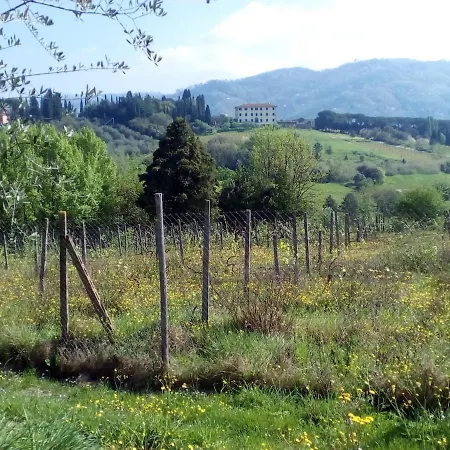 Daire Cardellini 1 Pescia
