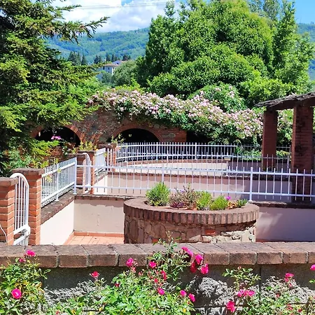 Cardellini 1 Pescia